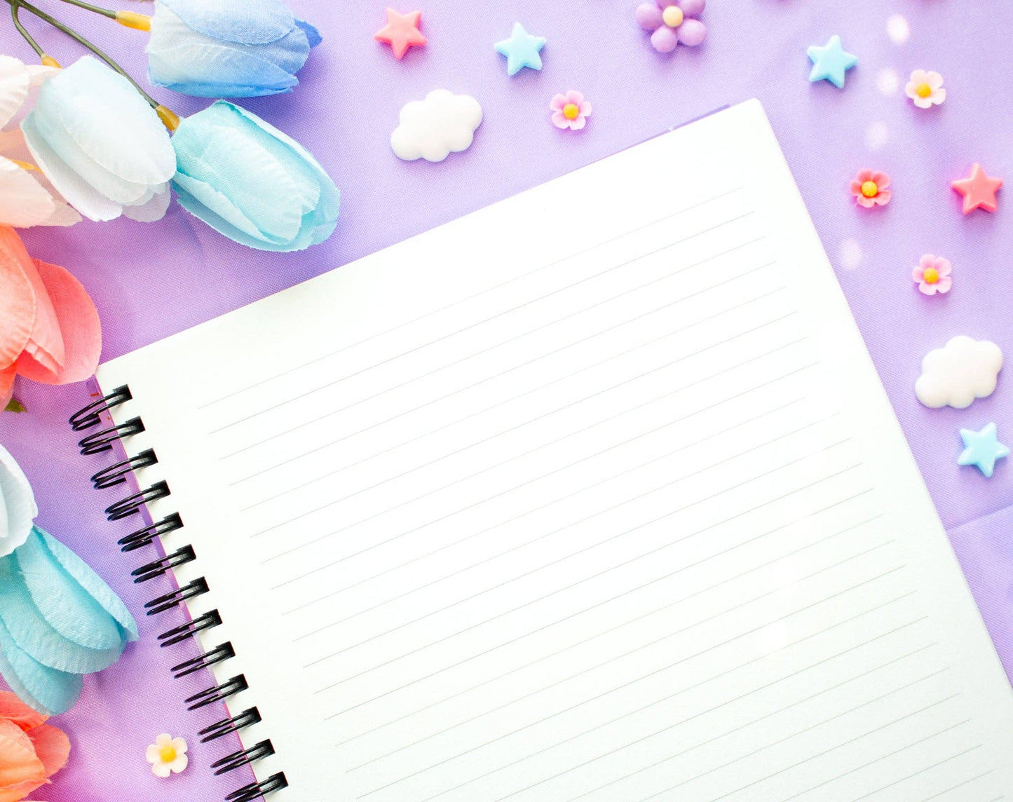 Study Night Spiral Lined Notebook (7x9")